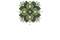 Untitled design